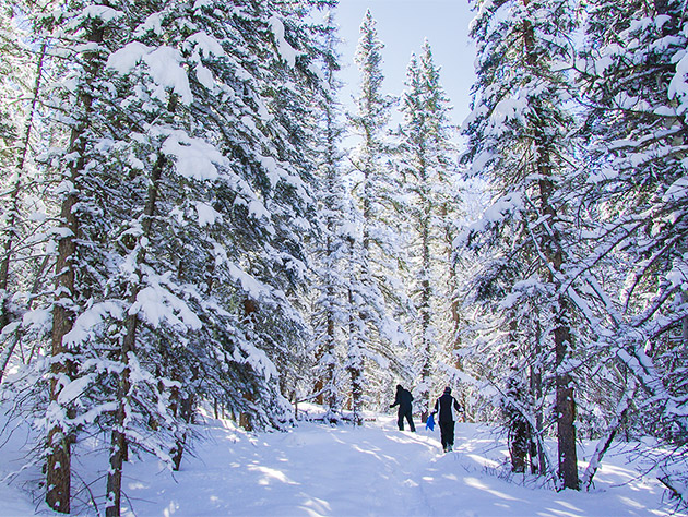 Snowshoeing near South Fork sm