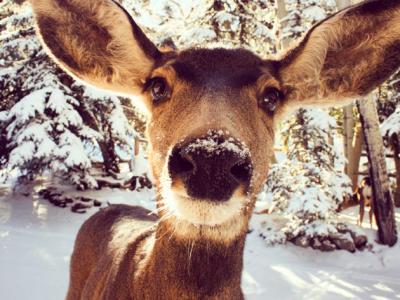 Live From South Fork Visitor Center